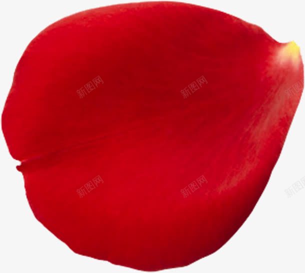 红色七夕海报花瓣png免抠素材_88icon https://88icon.com 海报 红色 花瓣