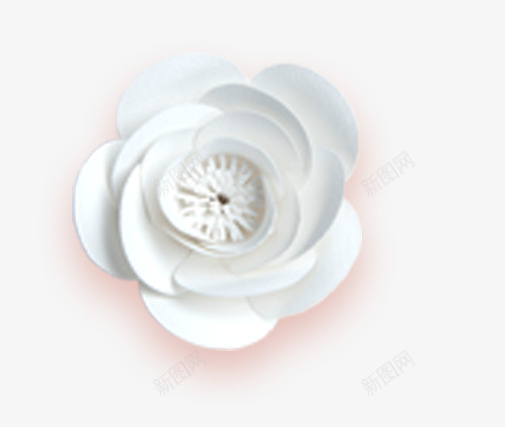 微立体白色鲜花png免抠素材_88icon https://88icon.com 微立体 白色鲜花 立体花卉 花卉 花朵 装饰花朵