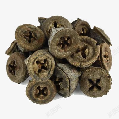一口钟药材png免抠素材_88icon https://88icon.com 一口钟 健胃 实物 截疟 桉树果 止痒 洋草果 理气 药材