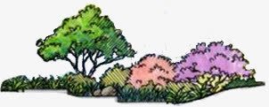 树丛树林手绘园林png免抠素材_88icon https://88icon.com 园林 树丛 树林
