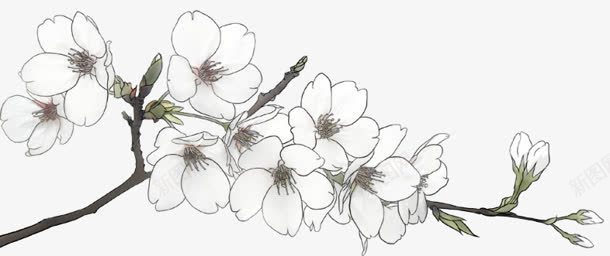 手绘花卉文艺风png免抠素材_88icon https://88icon.com 图片 艺风 花卉
