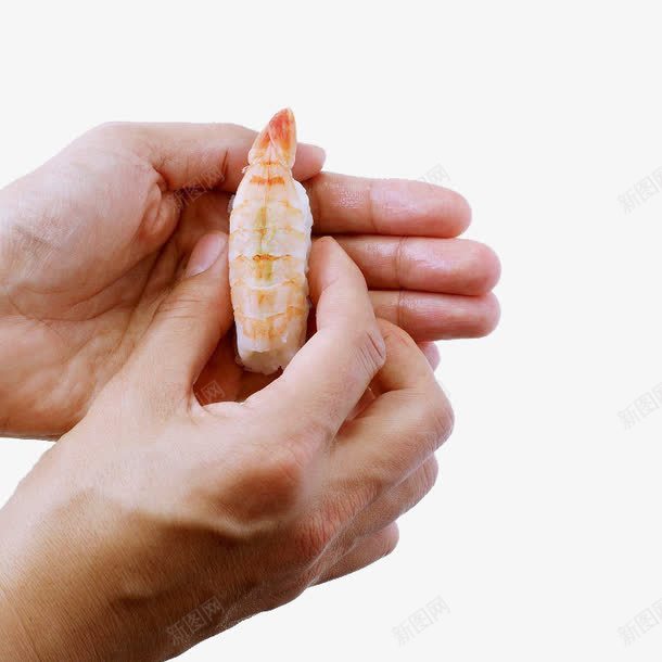 做寿司png免抠素材_88icon https://88icon.com 做寿司 寿司 手握 握寿司