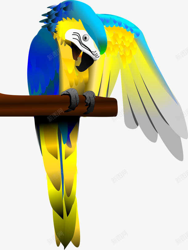 一只鹦鹉png免抠素材_88icon https://88icon.com 动物 可爱 宠物 鸟 鹦鹉