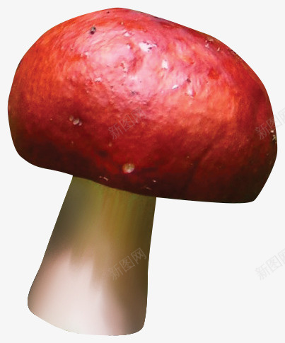 红色漂亮蘑菇png免抠素材_88icon https://88icon.com 漂亮蘑菇 红色蘑菇 红菇 红蘑菇 蘑菇