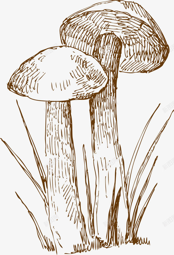 手绘食物矢量图ai免抠素材_88icon https://88icon.com 手绘 手绘食物 插画 蘑菇 食物 餐饮美食 矢量图