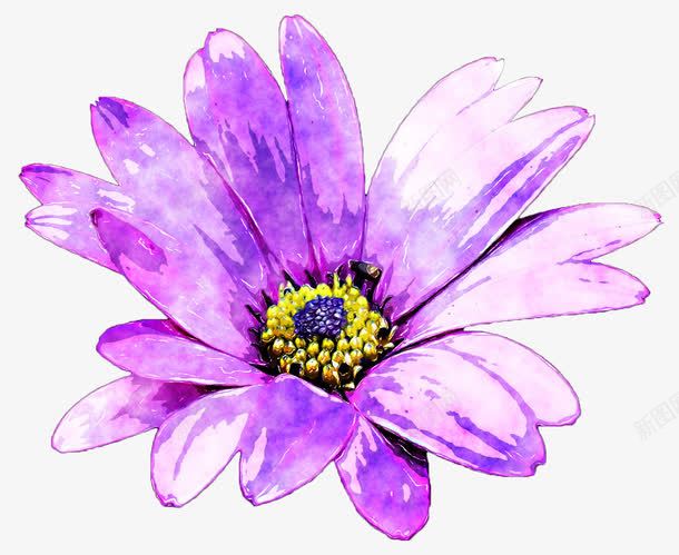 紫色雏菊png免抠素材_88icon https://88icon.com daisy 图案设计 紫色 花 雏菊