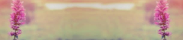 气质淘宝女包背景banner唯美jpg设计背景_88icon https://88icon.com banner 女包 气质 淘宝 背景