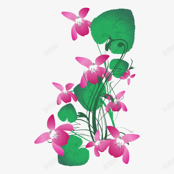 紫花地丁png免抠素材_88icon https://88icon.com 植物 紫色花 紫花地丁 花朵 鲜花