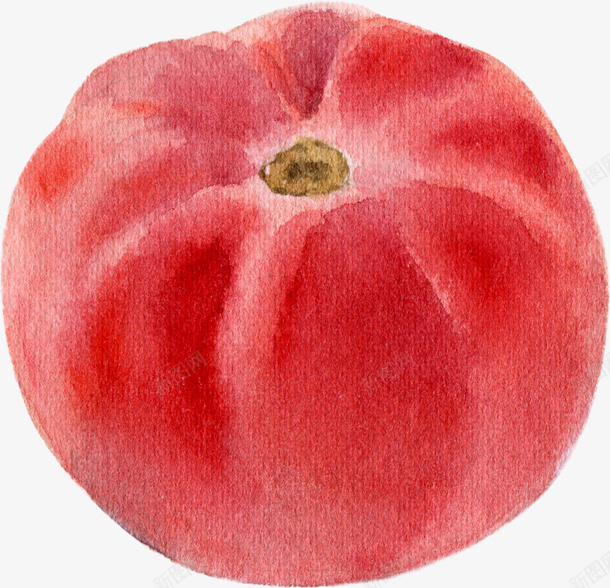 卡通手绘蔬菜装饰海报番茄png免抠素材_88icon https://88icon.com 卡通植物插画 卡通装饰 小清新插画 广告设计 海报设计 番茄 美食 蔬菜 蔬菜插画