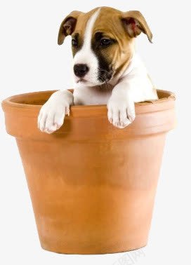 动物图标卡通动物狗狗犬png免抠素材_88icon https://88icon.com 动物矢量图 卡通动物素材 卡通图片 手绘动物素材 桶 犬 狗