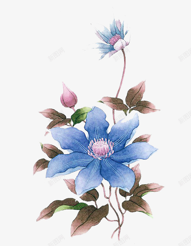 水彩鲜花png免抠素材_88icon https://88icon.com 卡通 手绘 水彩 蓝色 鲜花
