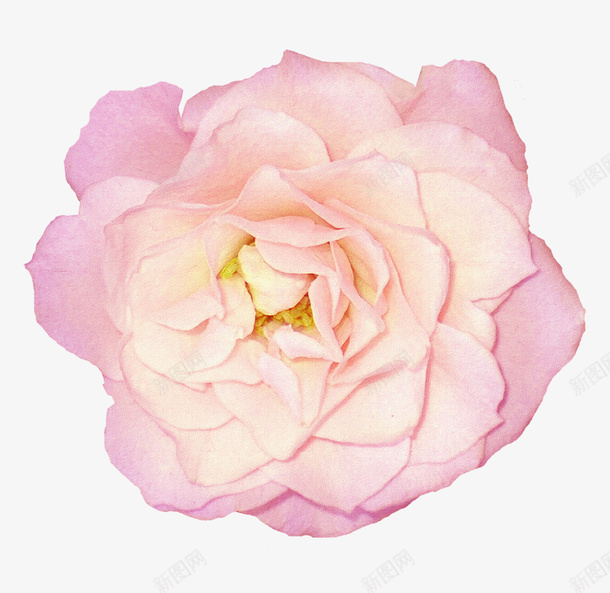 鲜花海报背景卡通鲜花png免抠素材_88icon https://88icon.com 卡通鲜花素材 抽象鲜花图片 抽象鲜花图片素材 绿植花卉 背景素材 鲜花花卉