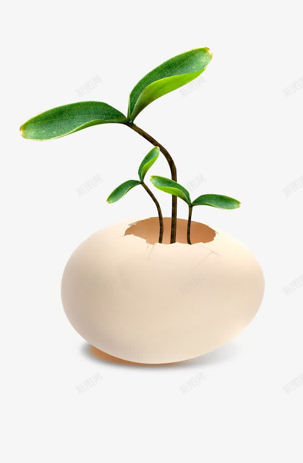 鸡蛋小树苗png免抠素材_88icon https://88icon.com 小树 小树苗 树叶 白色 绿色 鸡蛋