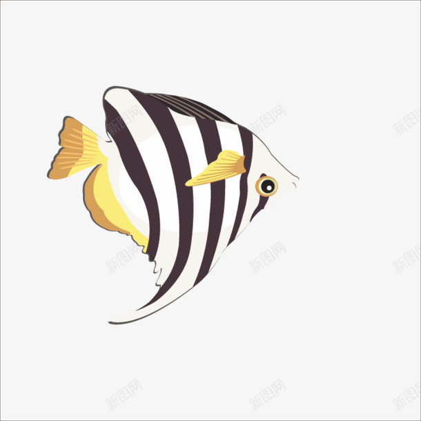 小鱼png免抠素材_88icon https://88icon.com 斑马鱼