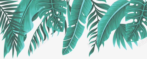 手绘热带芭蕉龟背叶边框png免抠素材_88icon https://88icon.com 夏日 手绘植物 手绘绿叶 手绘龟背叶边框 海报边框 热带植物边框