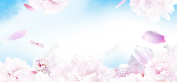 粉色花朵的电商海报jpg设计背景_88icon https://88icon.com 海报 粉色 花朵
