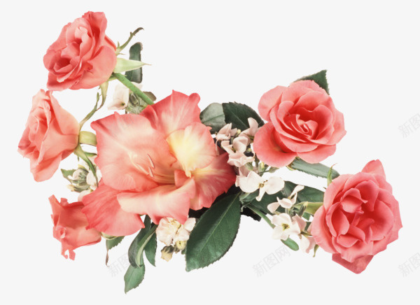 绿植花卉花朵图形png免抠素材_88icon https://88icon.com 免抠 图形 素材 绿植 花卉 花朵