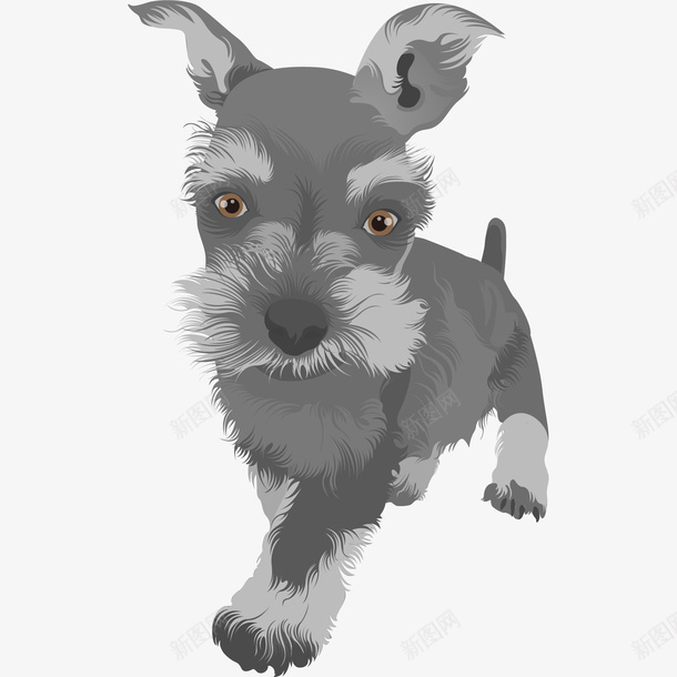 卡通可爱动物海报装饰手绘狗png免抠素材_88icon https://88icon.com 动物可爱 卡通动物 卡通可爱动物海报设计装饰手绘狗狗免费下载 手绘动物文艺风 手绘狗狗 萌萌哒的小动物 装饰卡通