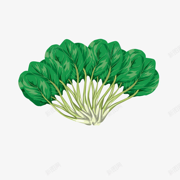 卡通蔬菜平面矢量图ai免抠素材_88icon https://88icon.com 平面设计 根茎类蔬菜 根茎类蔬菜蔬菜设计 植物 植物设计 蔬菜 食物 矢量图