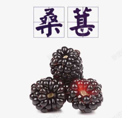 产品实物桑椹png免抠素材_88icon https://88icon.com 产品实物桑椹 果实 桑早 水果