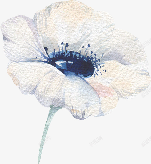 手绘卡通花朵白色png免抠素材_88icon https://88icon.com 卡通 手绘 甜美风 花朵