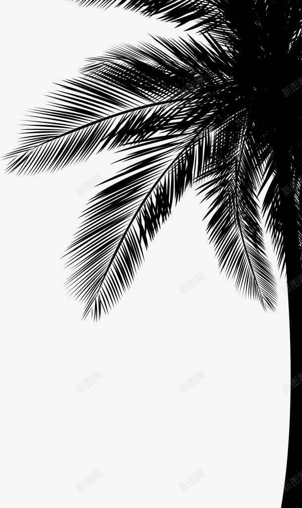 手绘绘画黑色椰子树png免抠素材_88icon https://88icon.com 椰子树 绘画 黑色