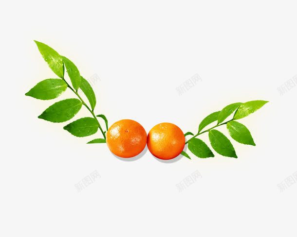 砂糖橘图案png免抠素材_88icon https://88icon.com 橘子 水果 砂糖橘 蜜橘 金橘
