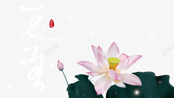 夏至手绘荷花元素psd免抠素材_88icon https://88icon.com 元素 印章 夏至 手绘荷花 艺术字
