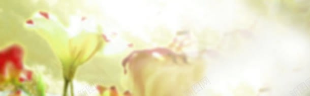 柔色花朵暖色系背景jpg设计背景_88icon https://88icon.com 暖色 背景 花朵
