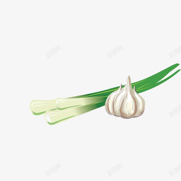 蒜苗和大蒜png免抠素材_88icon https://88icon.com 农特产 绿色 调味 食物