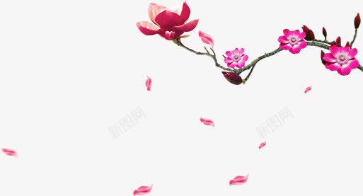 中秋节花朵海报png免抠素材_88icon https://88icon.com 中秋节 海报 花朵