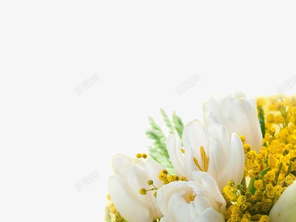 鲜花背景ppt模板png免抠素材_88icon https://88icon.com ppt模板 ppt背景 白色 鲜花 黄色