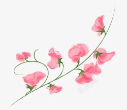 粉色的花png图片下载 粉色的花素材