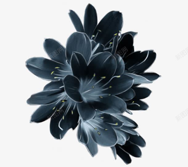 黑色花朵黄蕊png免抠素材_88icon https://88icon.com 花朵 黑色