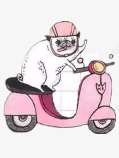 骑摩托的狗png免抠素材_88icon https://88icon.com 交通工具 动物 帽子 粉色