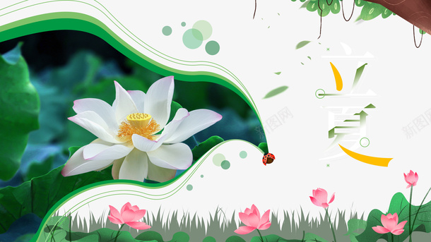 立夏荷花树枝二十四节气psd免抠素材_88icon https://88icon.com 二十四节气 树枝 立夏 荷花
