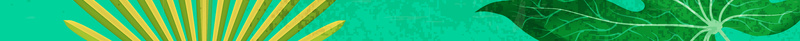 夏日上新促销海报优雅一夏矢量图ai设计背景_88icon https://88icon.com 上新 优雅一夏 促销 夏日 底纹 树叶 海报 矢量 绿色 边框 香蕉 矢量图
