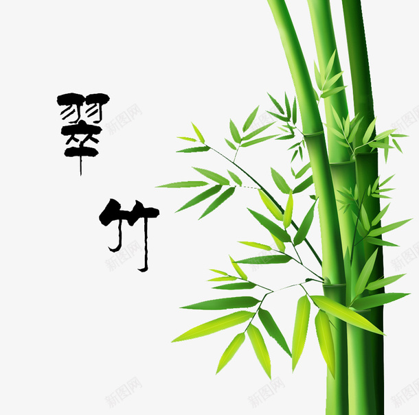 翠竹艺术图png免抠素材_88icon https://88icon.com 中国风 绿色 翠竹 艺术图