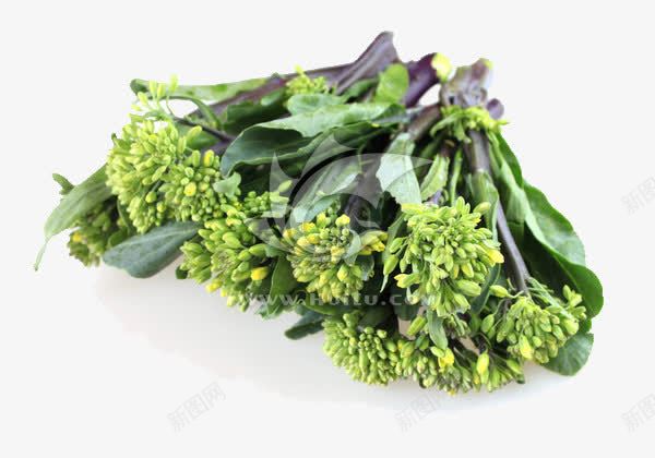 芥蓝花菜png免抠素材_88icon https://88icon.com 十字花科 绿色 芥蓝 蔬菜 食物