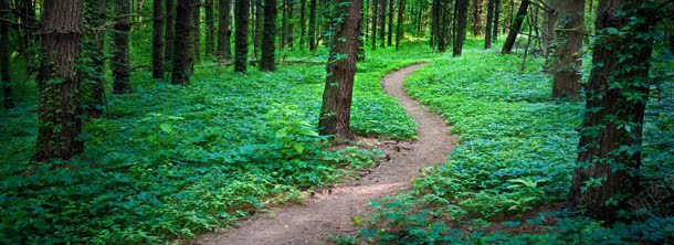 林间的小路jpg设计背景_88icon https://88icon.com 林间的小路