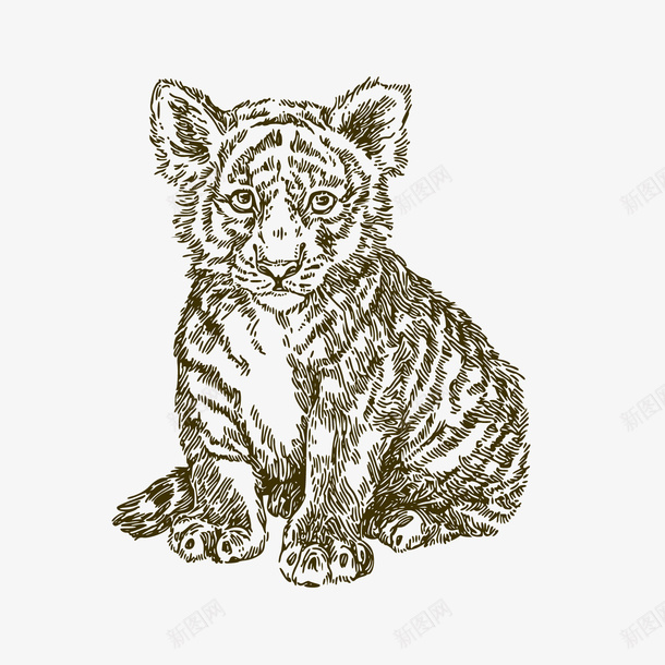 手绘小老虎动物png免抠素材_88icon https://88icon.com Q版虎 卡通动物 卡通老虎 小老虎 手绘老虎 背景装饰