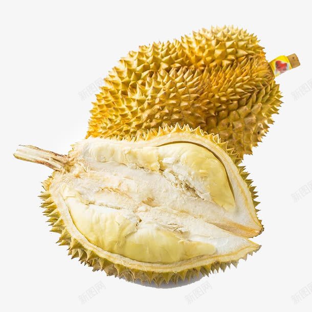 整个的榴莲png免抠素材_88icon https://88icon.com 产品实物 吃起来香 水果 热性 臭味