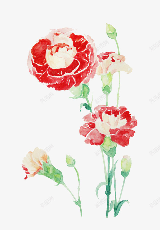 唯美手绘鲜花png免抠素材_88icon https://88icon.com 卡通 手绘 手绘插画 插画 花卉 鲜花