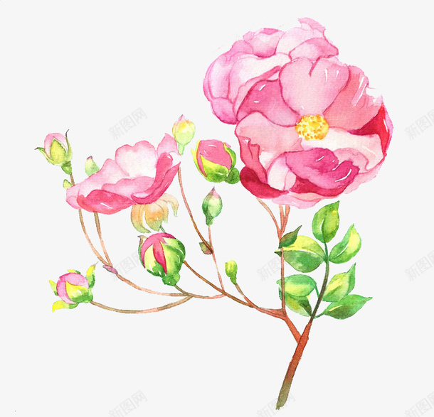 唯美手绘鲜花png免抠素材_88icon https://88icon.com 卡通 手绘 手绘插画 插画 花卉 鲜花