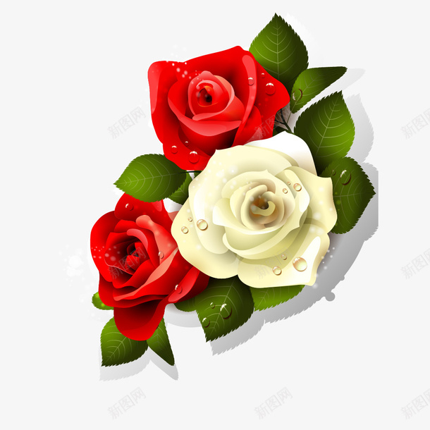 情人节玫瑰png免抠素材_88icon https://88icon.com 3朵玫瑰矢量图 情人节玫瑰 情人节玫瑰免费png下载 玫瑰矢量图