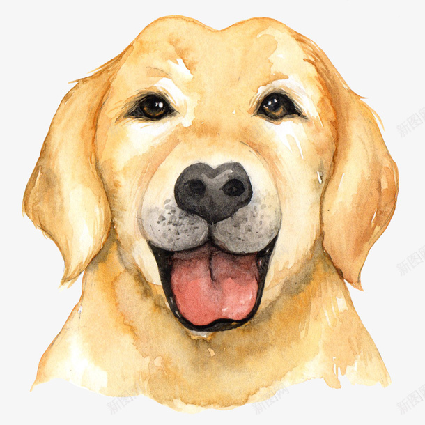 卡通手绘小狗头像png免抠素材_88icon https://88icon.com 创意 动漫动画 卡通手绘 可爱的 小狗头像 黄色