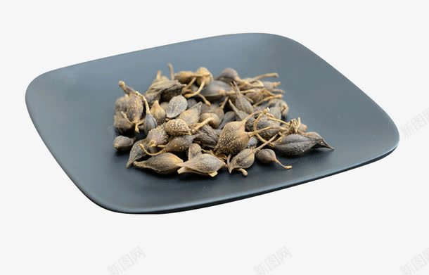 中药材连翘png免抠素材_88icon https://88icon.com 中药 大翘子 药材连翘 连翘
