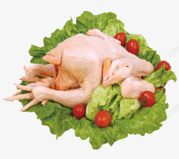 美食芦花鸡png免抠素材_88icon https://88icon.com 家养鸡 美食 芦花鸡 食物 食物鸡 鸡 鸡肉