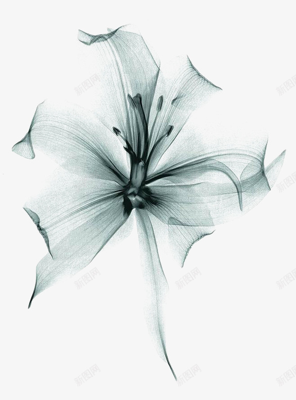 水墨画鲜花png免抠素材_88icon https://88icon.com 手绘 绿色 花朵 透明鲜花