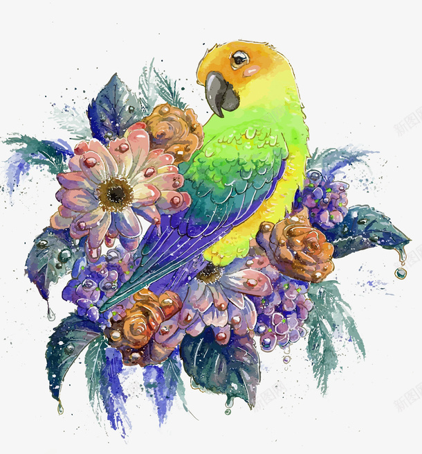 水彩花朵和鹦鹉矢量图eps免抠素材_88icon https://88icon.com 卡通 手绘 水彩 矢量鹦鹉 花朵 鹦鹉 鹦鹉PNG矢量图 鹦鹉免扣PNG图 矢量图
